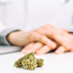 Understanding Medicinal Cannabis Blog Feature